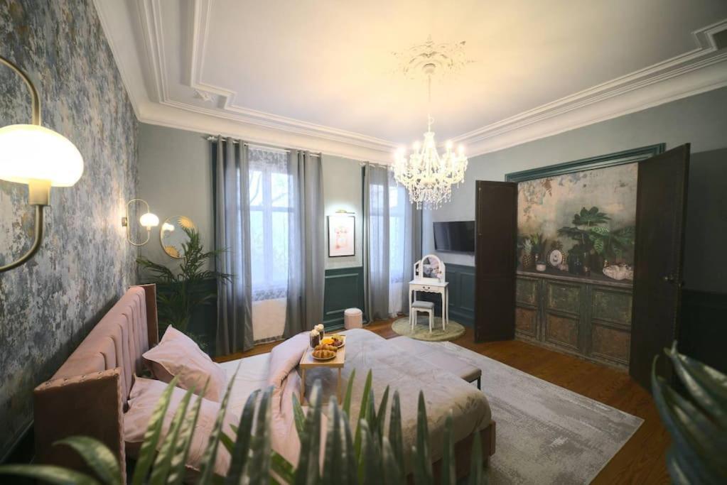 Royal Room Jacuzzi Haut De Gamme Centre Ville Mulhouse Esterno foto